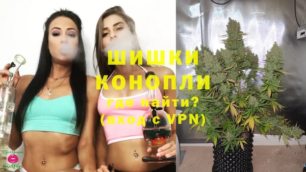 спиды Краснослободск
