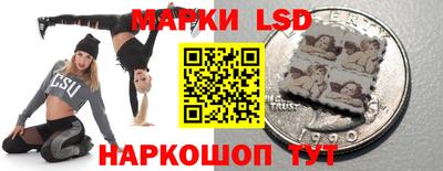 индика Аргун