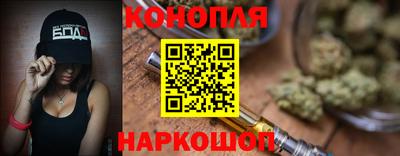 индика Аргун