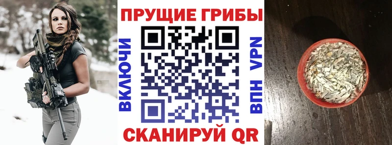 Псилоцибиновые грибы мицелий  Кисловодск 