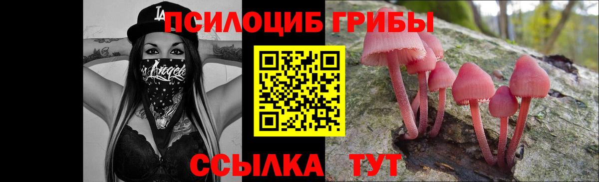 Кисловодск  Псилоцибиновые грибы Magic Shrooms  Вход с VPN 