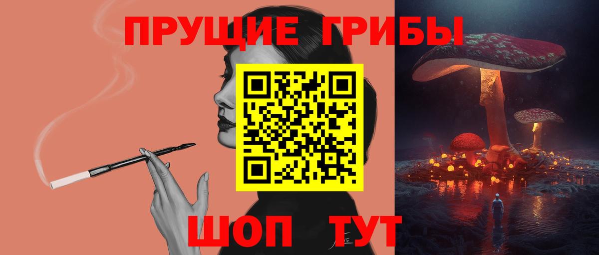 Псилоцибиновые грибы GOLDEN TEACHER  купить наркоту  Кисловодск  Псилоцибиновые грибы Psilocybine cubensis 