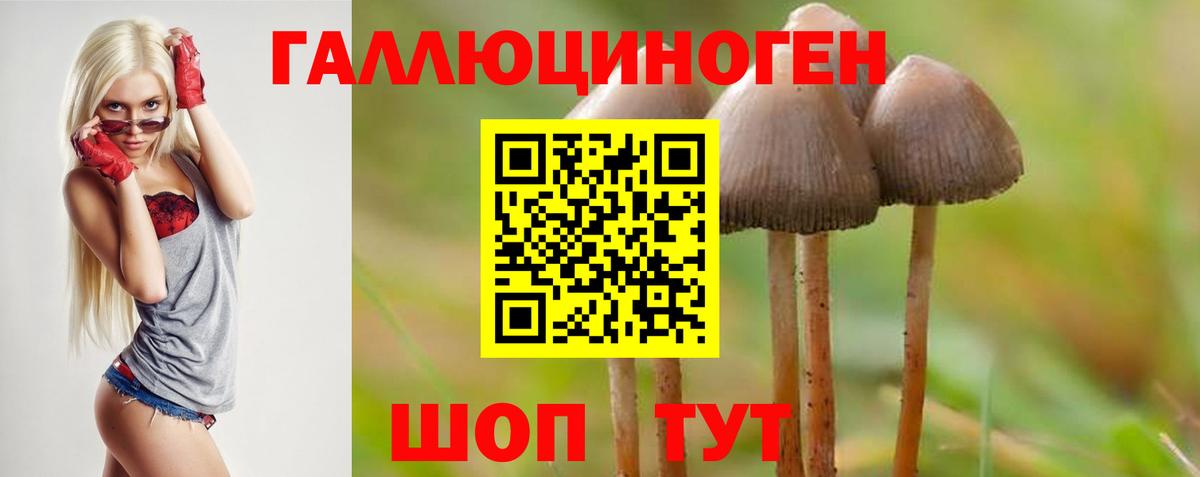 Псилоцибиновые грибы ЛСД Кисловодск