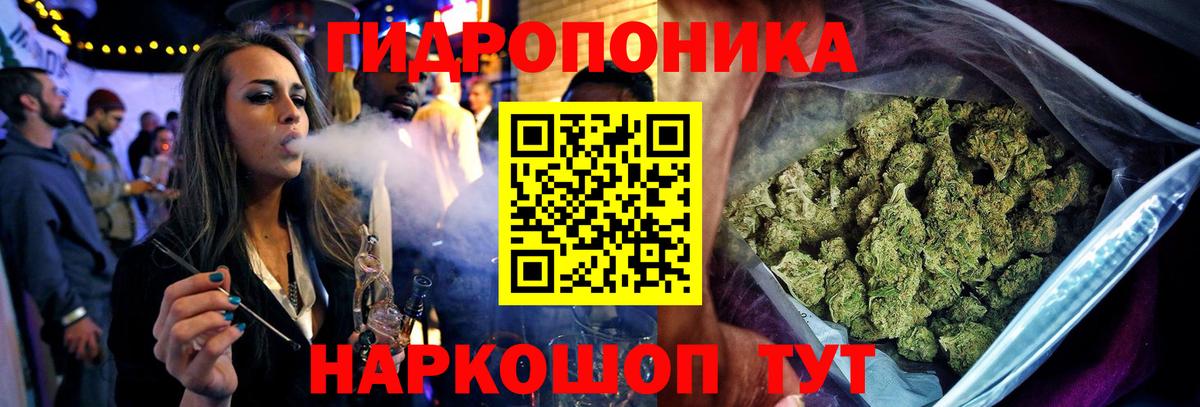 Конопля планчик  Канабис марихуана  Вход с VPN  Кисловодск  Бошки марихуана MAZAR 